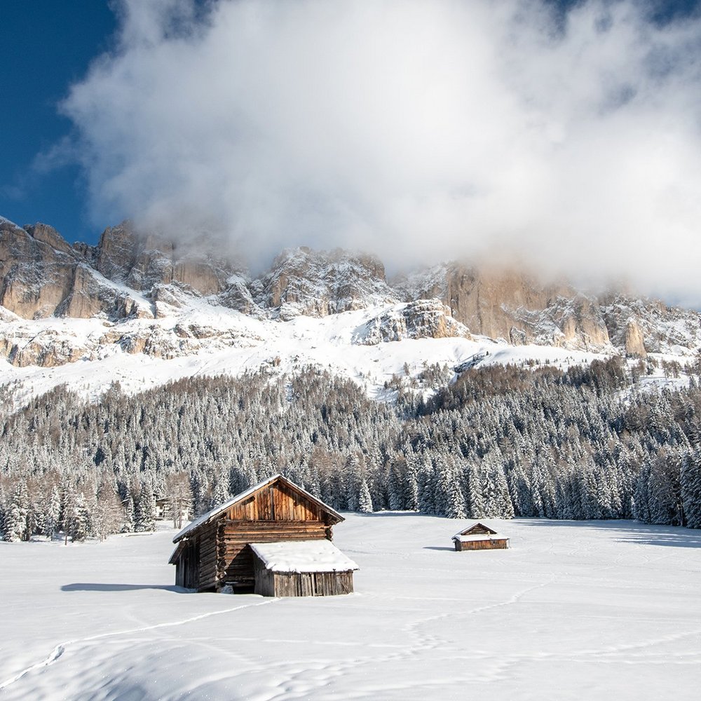 La filosofia del nostro Alpenrose a Carezza