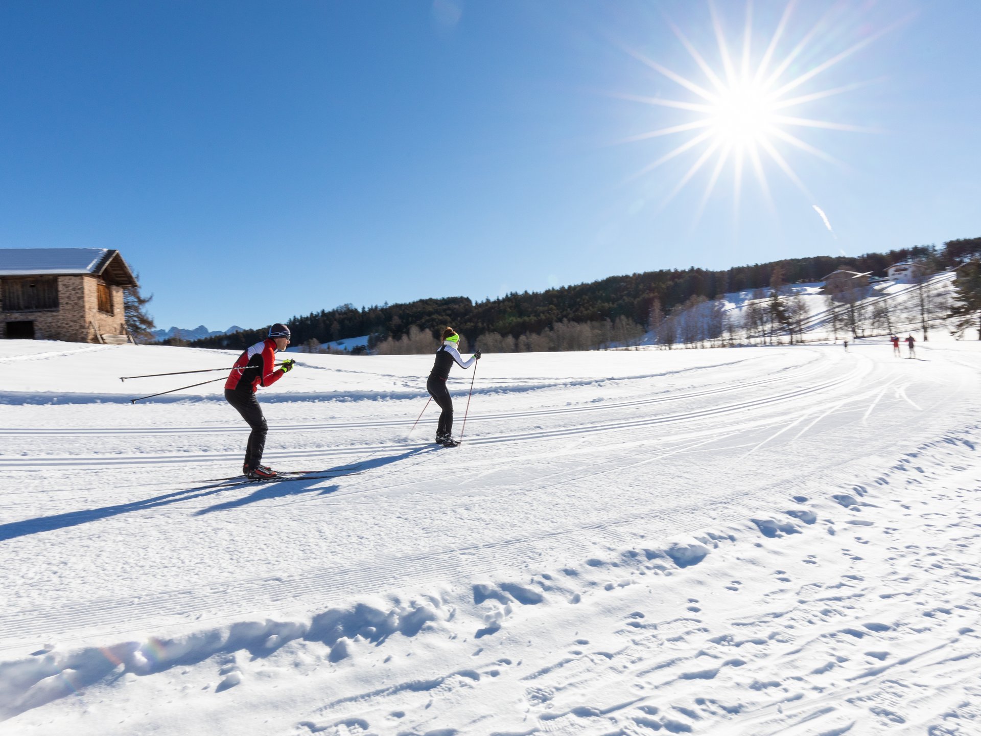 Le più belle piste di slittino e sci di fondo della Val d’Ega Le più belle piste di slittino e sci di fondo della Val d’Ega