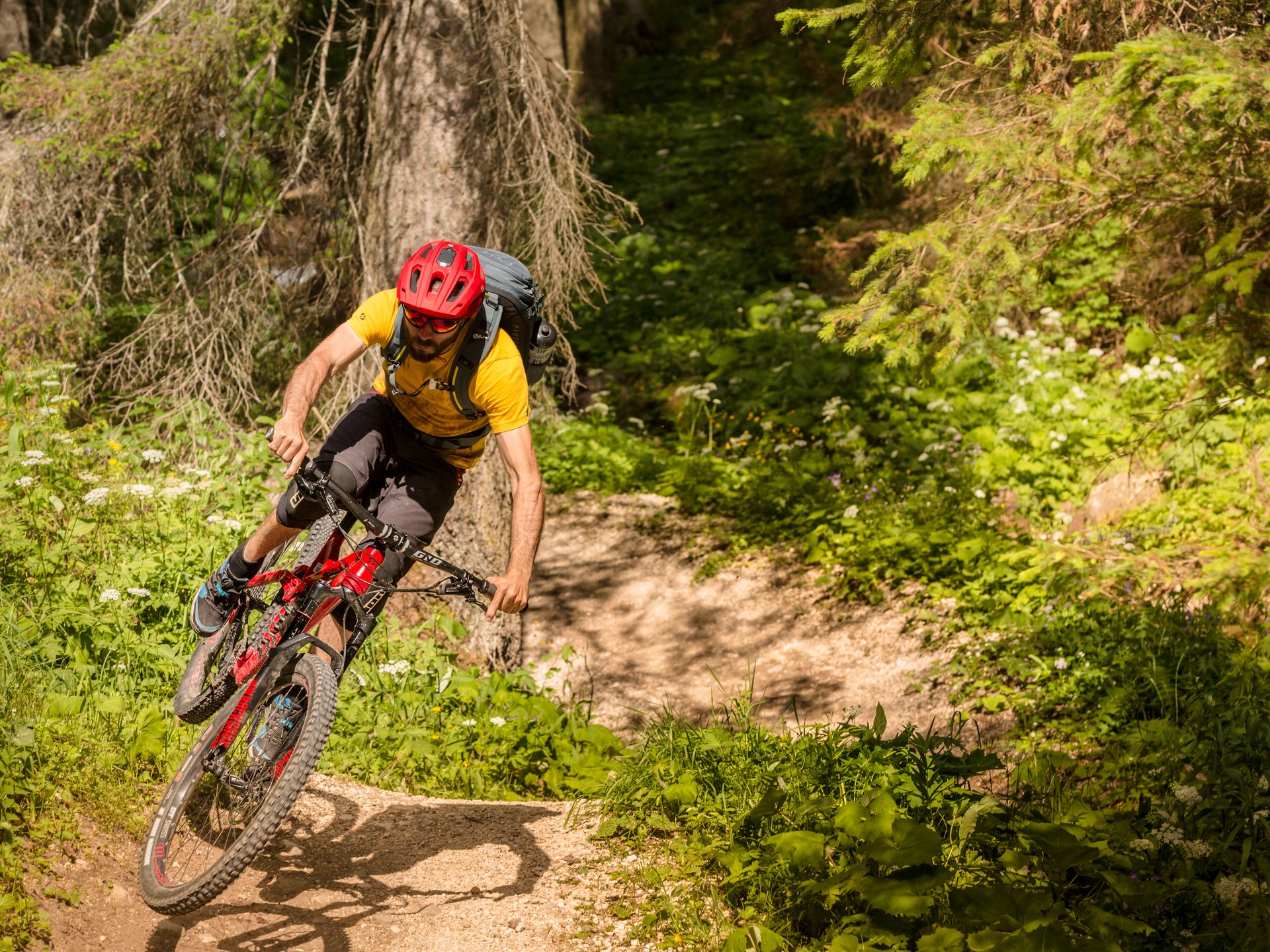 Hotel Alpenrose am Karersee Hotel Alpenrose am Karersee