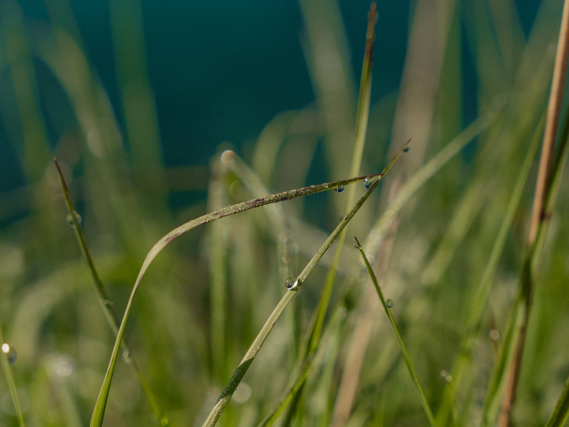 Hotel Alpenrose am Karersee Hotel Alpenrose am Karersee