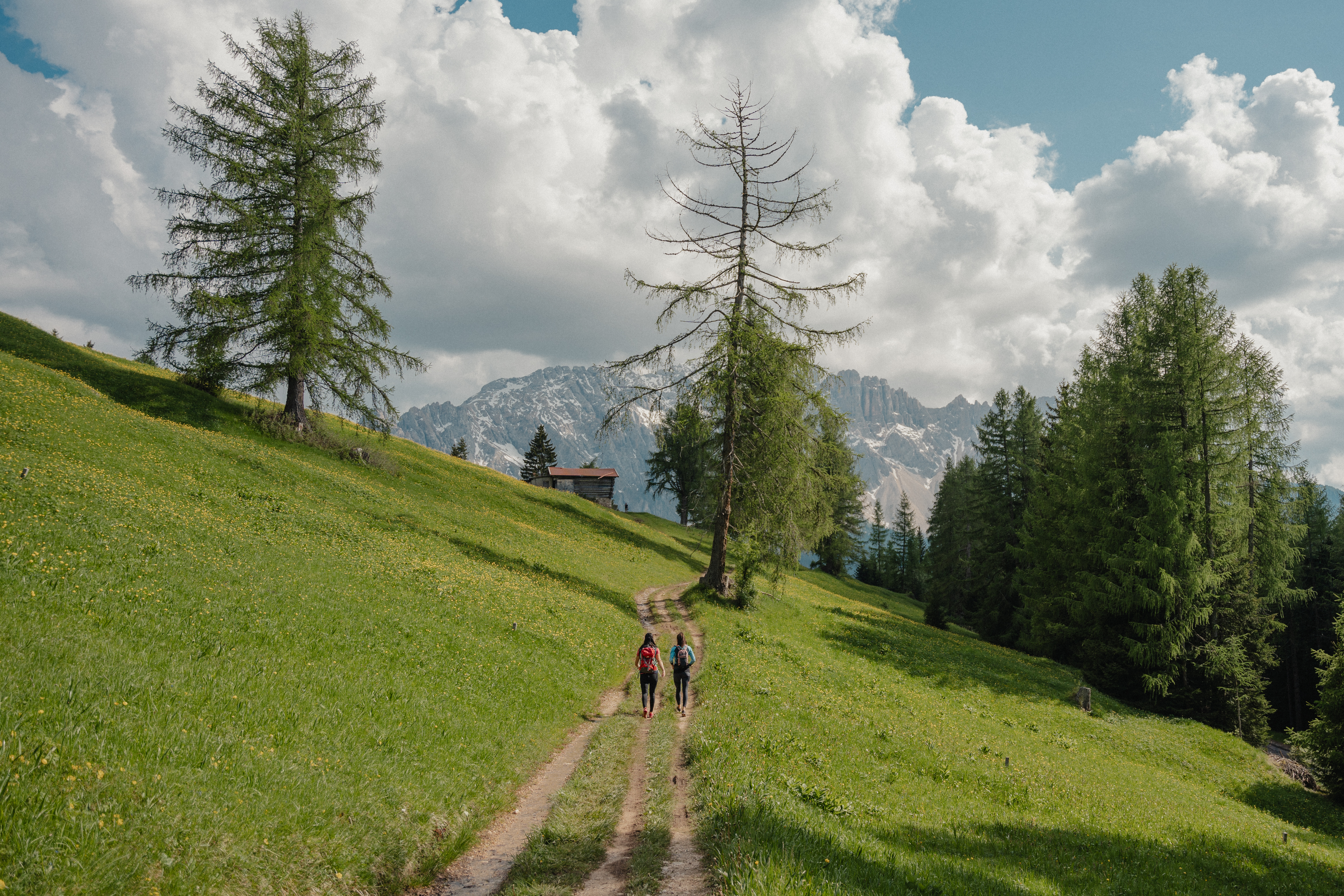 Hotel Alpenrose am Karersee Hotel Alpenrose am Karersee